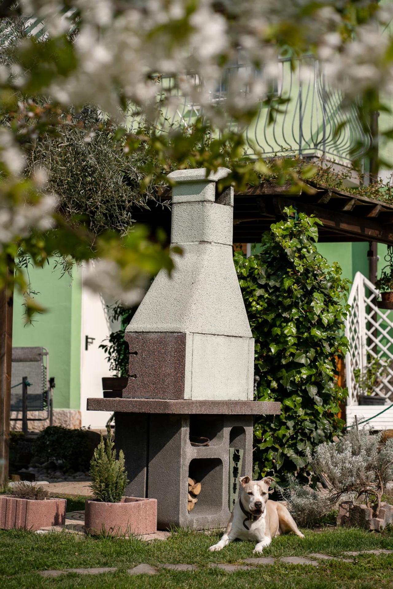 La Casa Nel Verde อาร์โก ภายนอก รูปภาพ