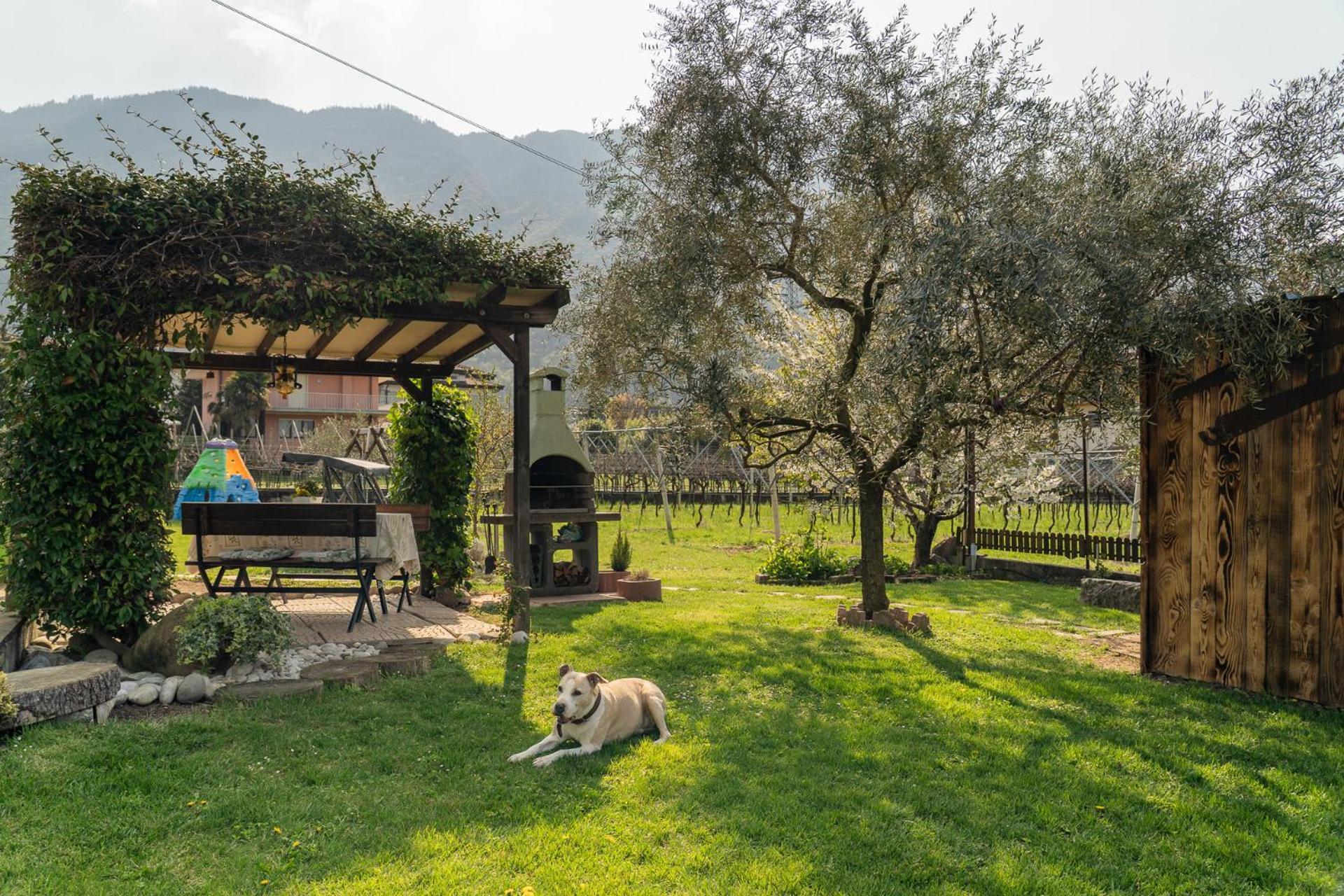 La Casa Nel Verde อาร์โก ภายนอก รูปภาพ